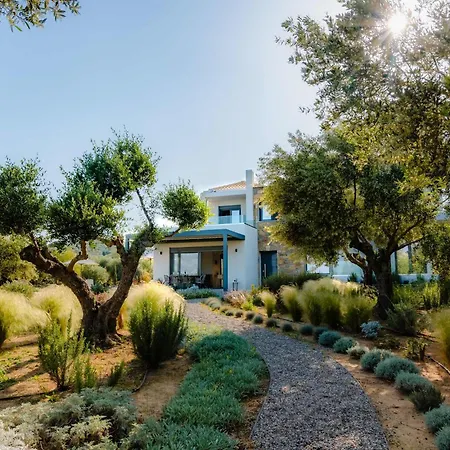 Villa Oceanfront Elaia Private Pool & Panoramic Views Charokopio